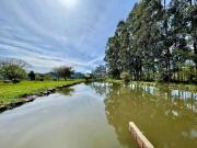 Sítio / Chácara para Venda em São Martinho da Serra/RS...