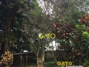 Sítio / Chácara para Venda em São Paulo/SP Chácara Maria...