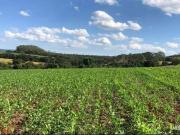 Sítio / Chácara para Venda em São Paulo/SP Zona Rural