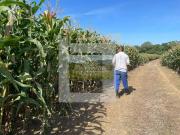Sítio / Chácara para Venda em São Paulo/SP Zona Rural 9...