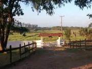 Sítio / Chácara para Venda em São Pedro da Aldeia/RJ...