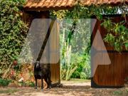 Sítio / Chácara para Venda em São Pedro/SP Centro 6 Quartos