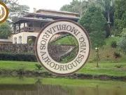 Sítio / Chácara para Venda em São Roque/SP Bairro do...