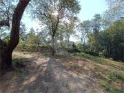 Sítio / Chácara para Venda em São Roque/SP Sorocamirim...