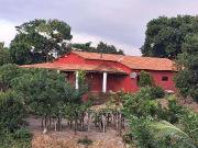 Sítio / Chácara para Venda em Sairé/PE Centro 2 Quartos Sítio / Chácara para Venda em Sairé/PE Centro 2 Quartos