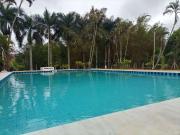 Sítio / Chácara para Venda em Santa Bárbara...