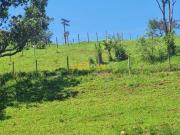 Sítio / Chácara para Venda em Santa Isabel/SP Jardim...