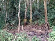 Sítio / Chácara para Venda em Santa Isabel/SP Recanto...