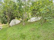 Sítio / Chácara para Venda em Santa Isabel/SP Recento no...