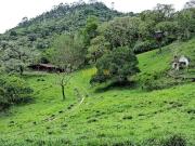 Sítio / Chácara para Venda em Santa Isabel/SP Zona Rural...