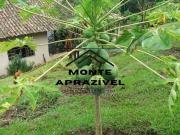 Sítio / Chácara para Venda em Santa Isabel/SP Ouro Fino...