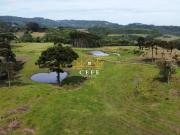 Sítio / Chácara para Venda em Santa Maria do Herval/RS...