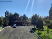 Sítio / Chácara para Venda em Santa Maria do Herval/RS...