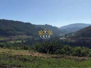 Sítio / Chácara para Venda em Santa Maria do Herval/RS...