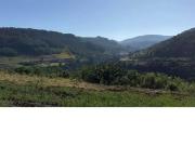 Sítio / Chácara para Venda em Santa Maria do Herval/RS...
