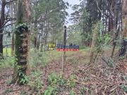 Sítio / Chácara para Venda em Santana de Parnaíba/SP...