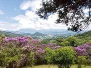 Sítio / Chácara para Venda em Santo Amaro da...