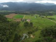 Sítio / Chácara para Venda em Santo Amaro da...