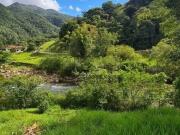 Sítio / Chácara para Venda em Santo Amaro da...