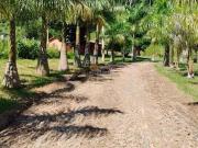 Sítio / Chácara para Venda em Sapucaia/RJ Aparecida 5...