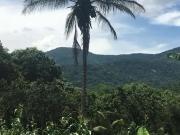 Sítio / Chácara para Venda em Saquarema/RJ Serra de Mato...