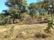 Sítio / Chácara para Venda em Senador Canedo/GO Conjunto...