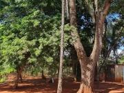 Sítio / Chácara para Venda em Senador Canedo/GO Estância...