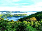 Sítio / Chácara para Venda em Serra Negra/SP Zona Rural...