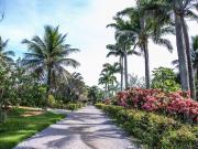 Sítio / Chácara para Venda em Serra/ES Chapada Grande