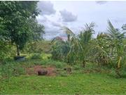 Sítio / Chácara para Venda em Serra/ES Serra Dourada III
