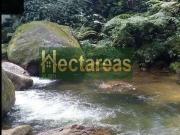 Sítio / Chácara para Venda em Sete Barras/SP Mamparra