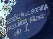 Sítio / Chácara para Venda em Silveiras/SP Macacos