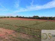 Sítio / Chácara para Venda em Sorocaba/SP Jardim Bertanha