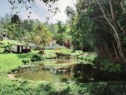 Sítio / Chácara para Venda em Suzano/SP Área Rural de...