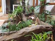 Sítio / Chácara para Venda em Taboão da Serra/SP...