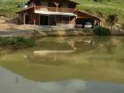 Sítio / Chácara para Venda em Taió/SC Passo Manso 5 Quartos