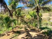 Sítio / Chácara para Venda em Tanguá/RJ Zona Rural 1 Quartos