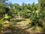 Sítio / Chácara para Venda em Tapiraí/SP Zona Rural 3...