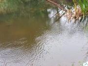 Sítio / Chácara para Venda em Tapiraí/SP Zona Rural 3...