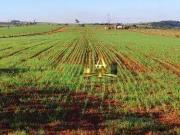 Sítio / Chácara para Venda em Tatuí/SP Área Rural de...