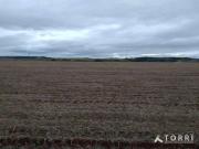 Sítio / Chácara para Venda em Tatuí/SP Centro