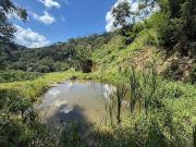 Sítio / Chácara para Venda em Teresópolis/RJ...