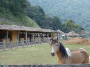 Sítio / Chácara para Venda em Teresópolis/RJ Serrinha 3...