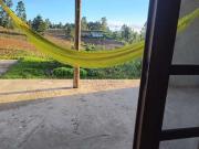 Sítio / Chácara para Venda em Tijucas do Sul/PR Centro