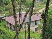 Sítio / Chácara para Venda em Tijucas do Sul/PR Matulão