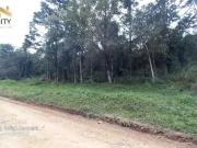 Sítio / Chácara para Venda em Tijucas do Sul/PR Rio do...