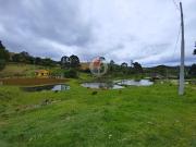 Sítio / Chácara para Venda em Tijucas do Sul/PR Zona...