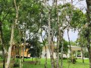 Sítio / Chácara para Venda em Tijucas do Sul/PR Zona...