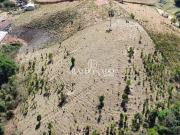 Sítio / Chácara para Venda em Toledo/MG Centro