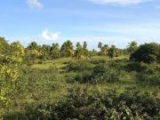 Sítio / Chácara para Venda em Touros/RN Centro 3 Quartos